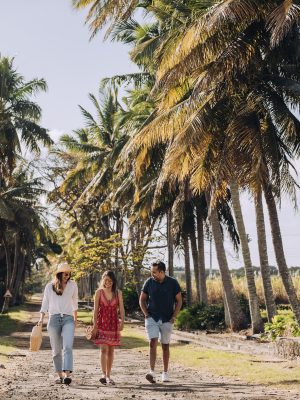 Anahita Beau Champ - Palm alley