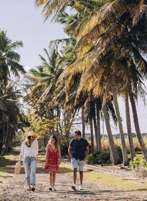 Anahita Beau Champ - Palm alley