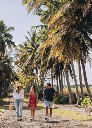 Anahita Beau Champ - Palm alley